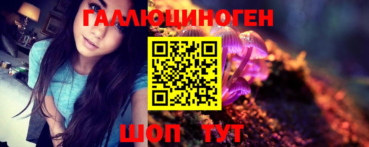 Галлюциногенные грибы Psilocybine cubensis Чебаркуль